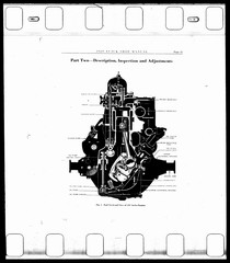 1929_Page_176.jpg