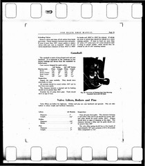 1929_Page_181.jpg